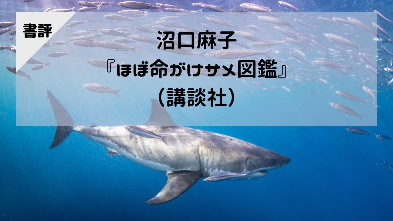 【書評】沼口麻子『ほぼ命がけサメ図鑑』（講談社）